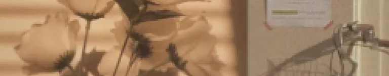 ThatsJustBoba4u Banner