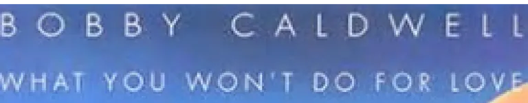 PloraeX Banner