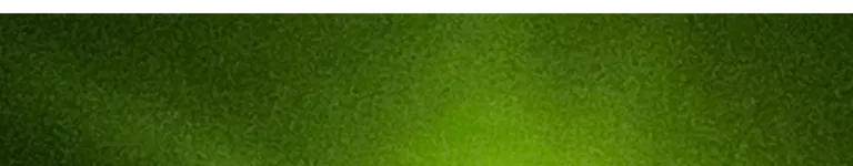 Pipepe Banner