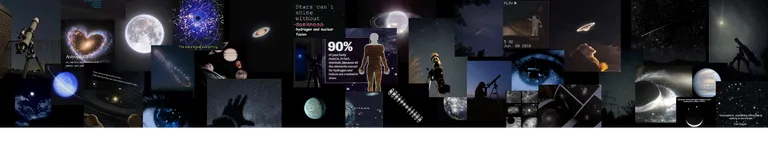 OllieLovesTaco Banner