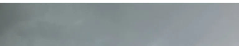 Virgil-here Banner