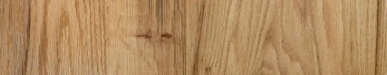 Cartoon-Tyler Banner