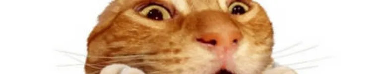 Stuckinthemuck Banner