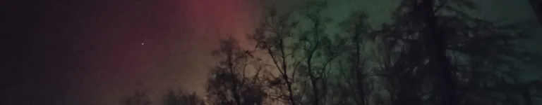 Mountaincat07 Banner