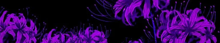 AmanteDeLosGato Banner