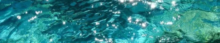 anyd4ysta5 Banner
