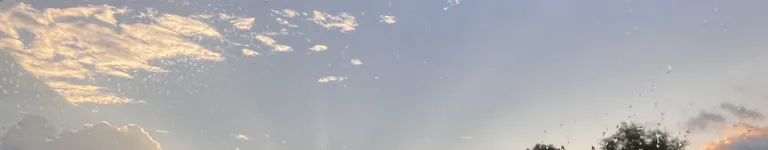 Elixx-does-art Banner