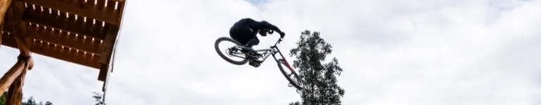 Sirfishbanana1 Banner