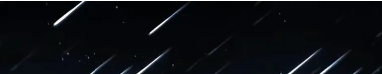 curry-with-rice Banner