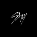 stay-army-81194