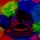 Clown-kiwi