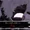 Kuro-isnt-here
