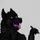 ShadowDuWolf
