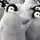 Qtcucumber