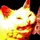 MisterMothball