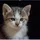 Animallover1