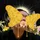 DoodleMoth