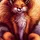 Fundy-Fox