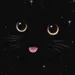 Littlekitty2211