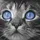 SilverTabby08