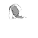BflyDrawings