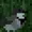 Friendlysword