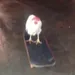 linxr