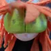 CATAPILLER