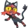 Litten-1234