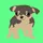 Artpup