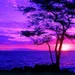 NatureAlt