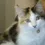 MistyClaws129