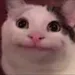 jalmama