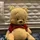 Pooh-Bear
