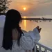 Aesthetic-Nim