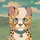 ChillCheetah723