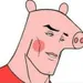 IMA-POSSUM