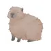 Capycapybara