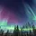 AlaskaArtist