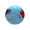 CVW