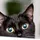 blackcatlick