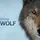 Shewolflegend
