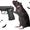 DisHdErN-RaT