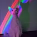 TheCultureCode