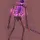 skeleton123