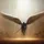 LUCIFER6