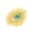 Forestunknown