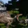 Dino-stampede