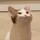 noisyboy