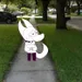 DragonLicc